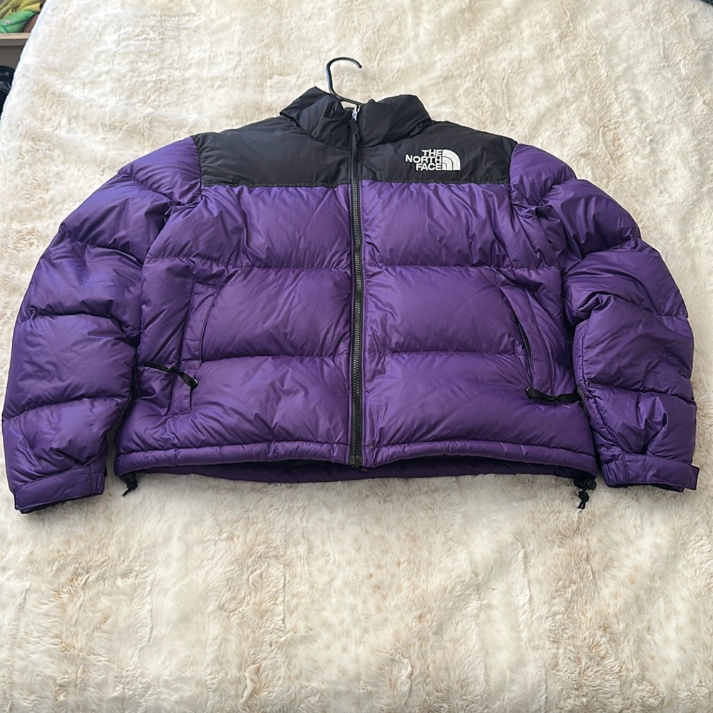 The north face jacket